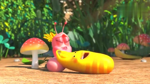 爆笑虫子:属于小黄虫和小红虫的共同秘密!