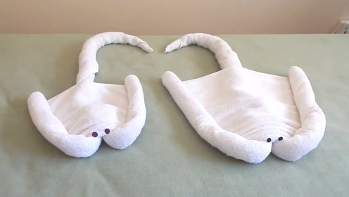 有趣的毛巾折动物,用2条毛巾折出黄貂鱼,其实折起来很简单