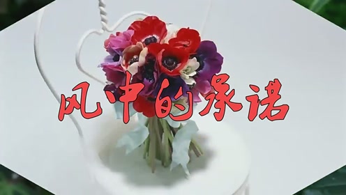 刘芳一首歌曲《风中的承诺》,声线迷人,都是真情流露