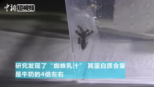 无脊椎 腾讯视频