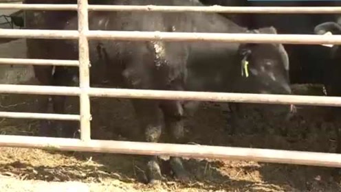 腾讯视频