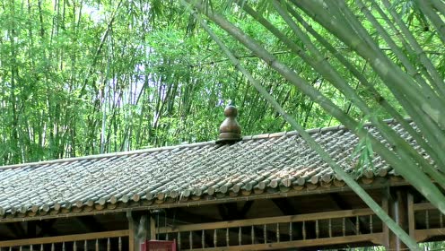 十里竹道 腾讯视频