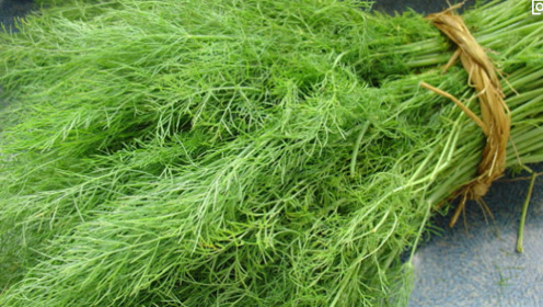 "天然青霉素"终于找到了,每天坚持吃,消炎杀菌,保护细胞不癌变!