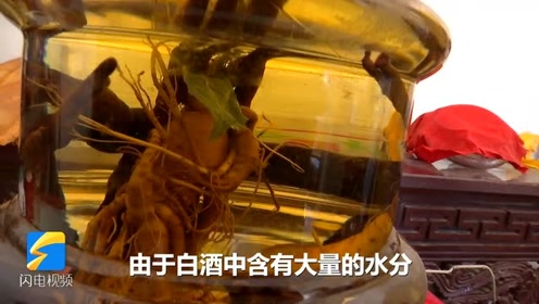 人参开花 腾讯视频
