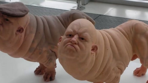 日本批准"人兽杂交"实验,大量繁殖"半人半猪",真的没问题么