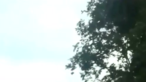 男子拍下开车途中被UFO跟随的画面，看完我信了的图片