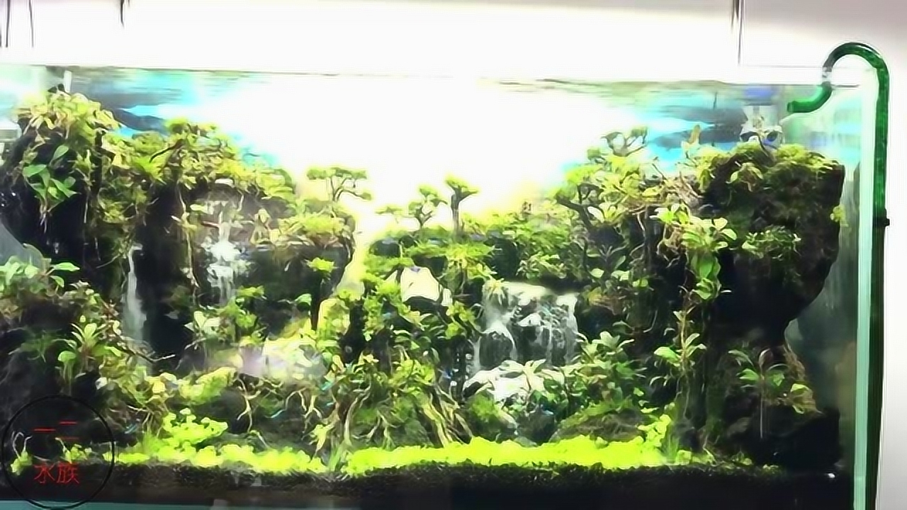 草缸造景,东南亚风格独特,鱼缸里的高山流水,你觉得如何?