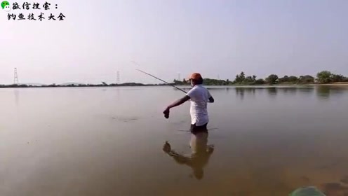 这里的鱼胆子也太大了吧，钓鱼人站水里都能钓到大鱼
