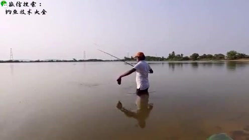 这里的鱼胆子也太大了吧，钓鱼人站水里都能钓到大鱼