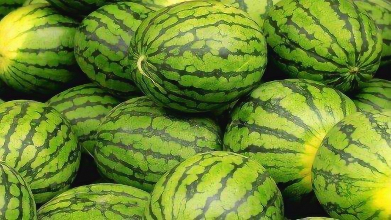 西瓜甜不甜,挑选时学会这5个技巧,个个香甜又好吃,不学真亏了