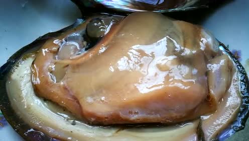 解剖河蚌,观察围心腔