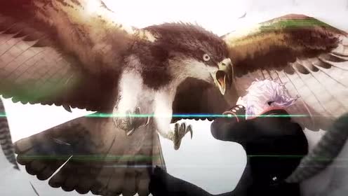 腾讯视频