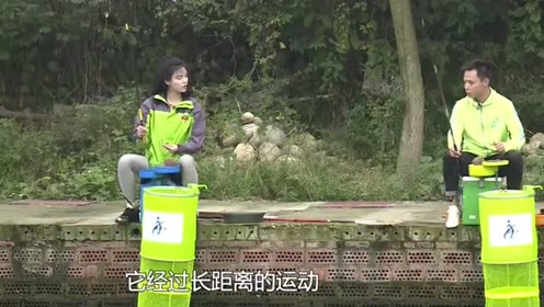 在2米以上的水深中作钓，饵料中到底该不该加拉丝粉