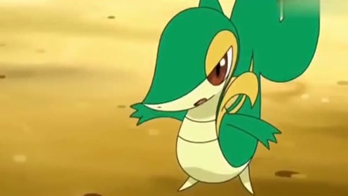 神奇宝贝:小智忘了藤藤蛇是母的了,皮卡丘看得激动的放电!