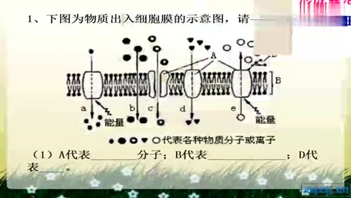 高中生物学必修一(第4章 细胞的物质输入和输出)2 主动运输与胞吞、胞吐