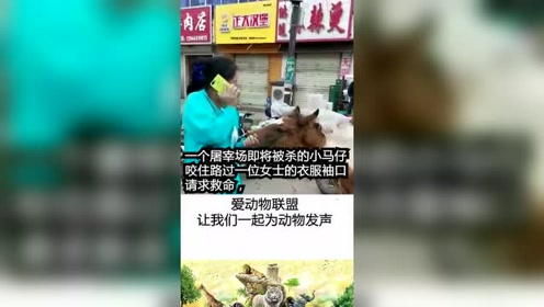 腾讯视频