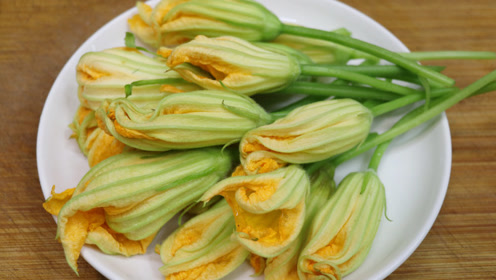 南瓜花 腾讯视频