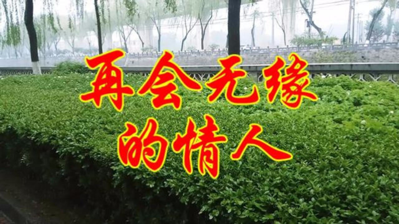 一首伤感歌曲再会无缘的情人真是句句唱到心窝