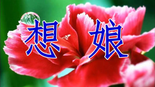 一首《想娘》听哭多少不在爹娘身边的人