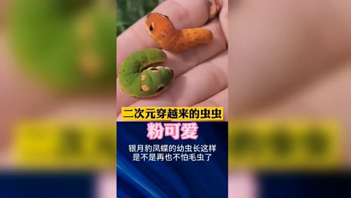 腾讯视频