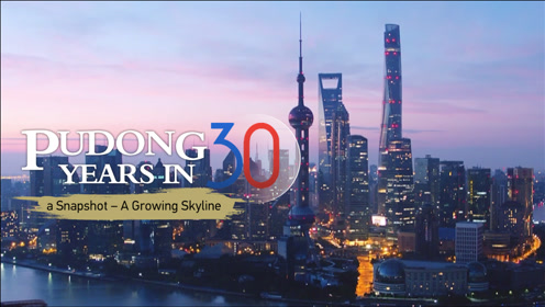 浦东30年全景
