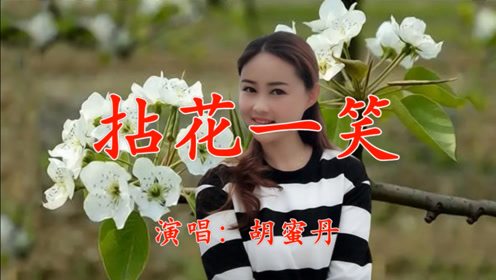 胡蜜丹一首《拈花一笑》动感欢快,悠扬悦耳,令人久久陶醉!