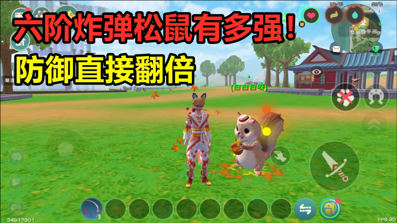 创造与魔法:满级六阶松鼠有多强!防御翻倍,传说雷弓只掉11点血