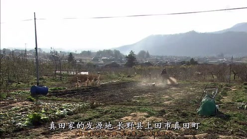 上田市 腾讯视频
