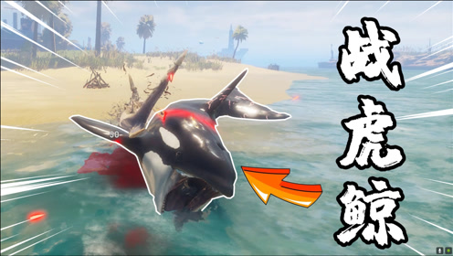 神奇宝贝 宝可梦剑盾 精灵宝可梦 主机游戏上传者:河马哥解说时 间