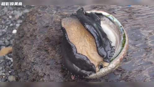 上传者:十块砖时 间:2018-04-13加州野兽级红鲍,被称为世界最大的鲍鱼