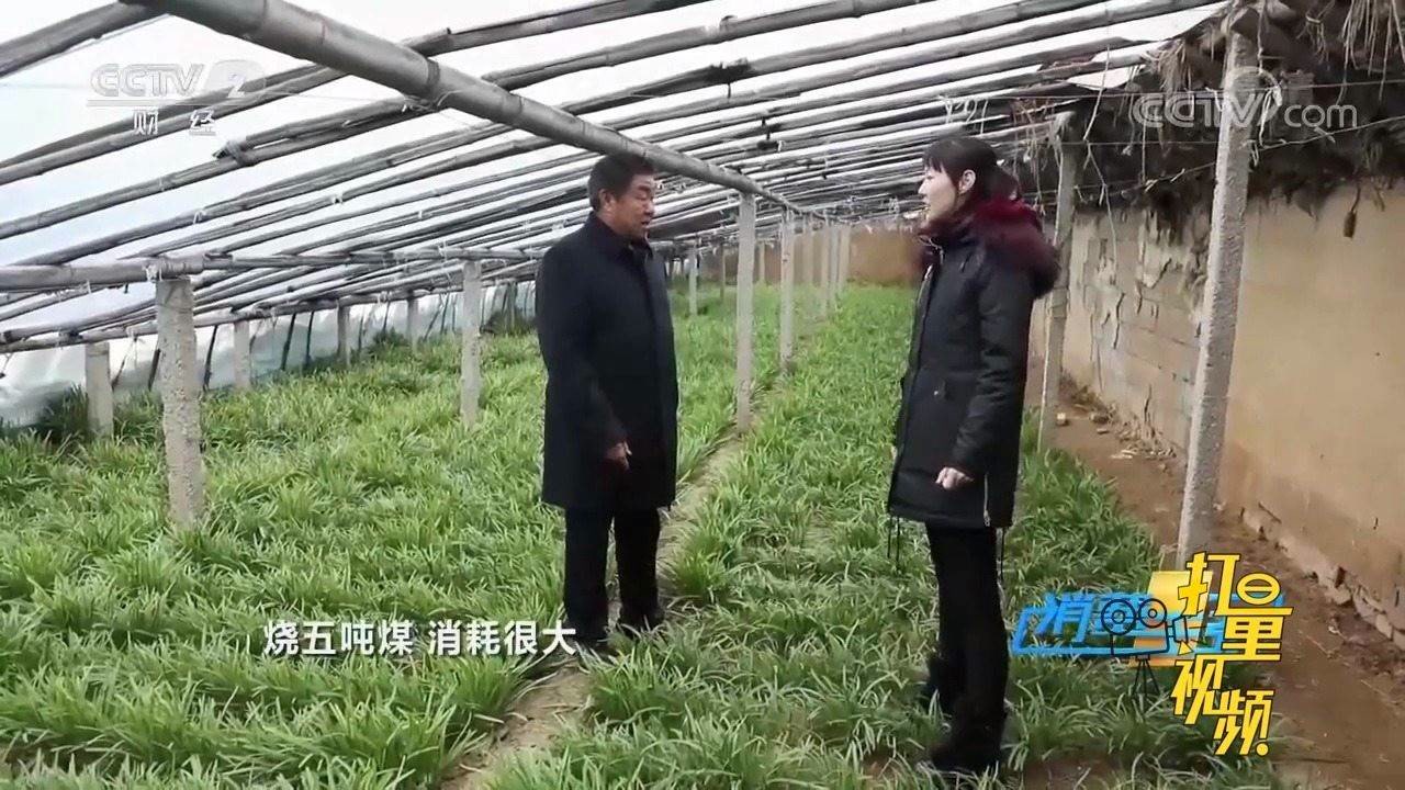 温室大棚 用来栽培植物的设施 搜狗百科