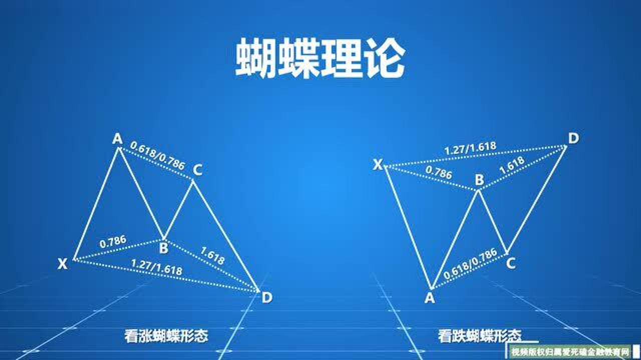 蝴蝶理论之蝴蝶形态