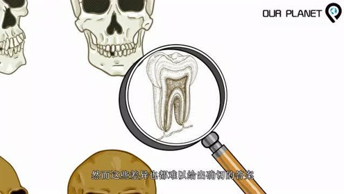 腾讯视频