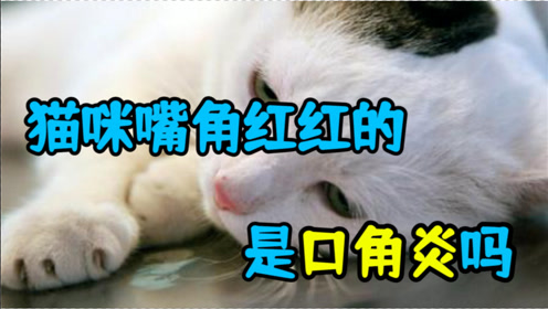 口角炎是什么 腾讯视频