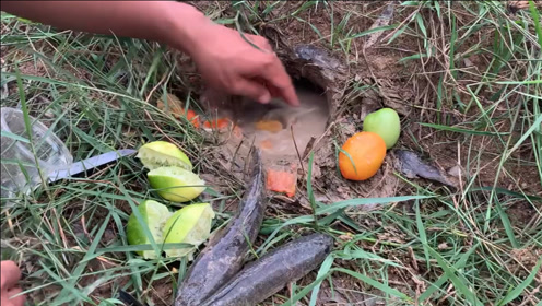 自动上饵 腾讯视频