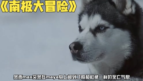 南极大冒险1 腾讯视频