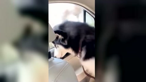 腾讯视频