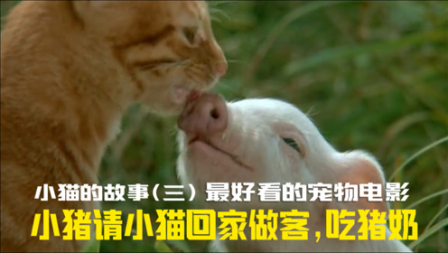 腾讯视频