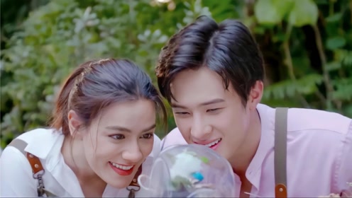 泰剧【双生花】太想看帅哥美女谈恋爱了!