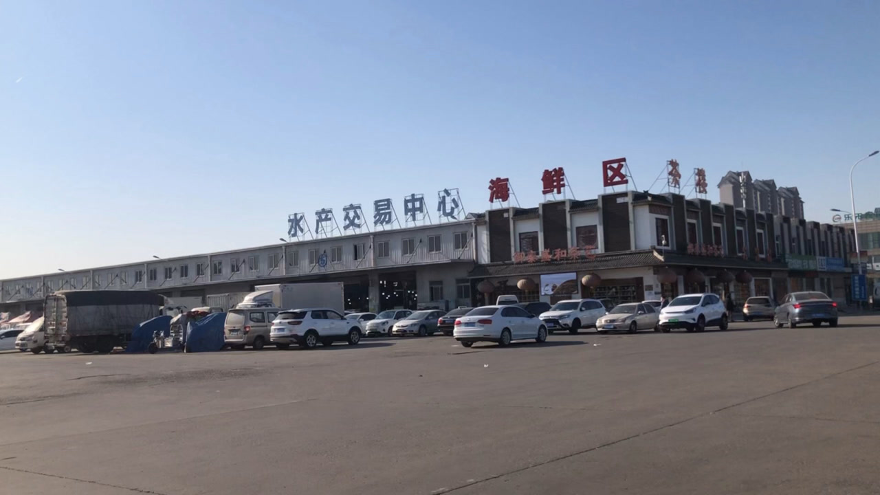 逛天津北辰最大水产交易市场,清江鱼13一斤,鲈鱼18一斤挺实惠