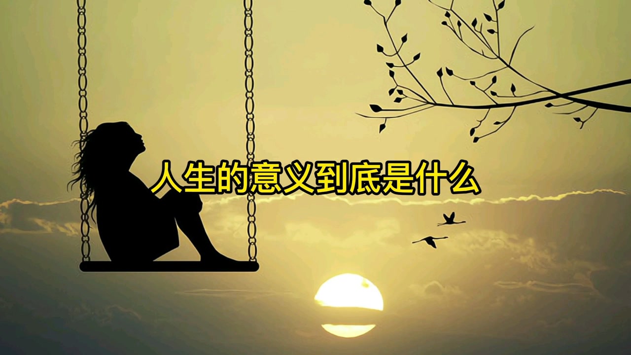 人生的意义到底是什么?