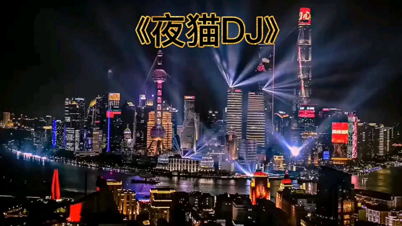 林平爱音乐《夜猫dj》超好听