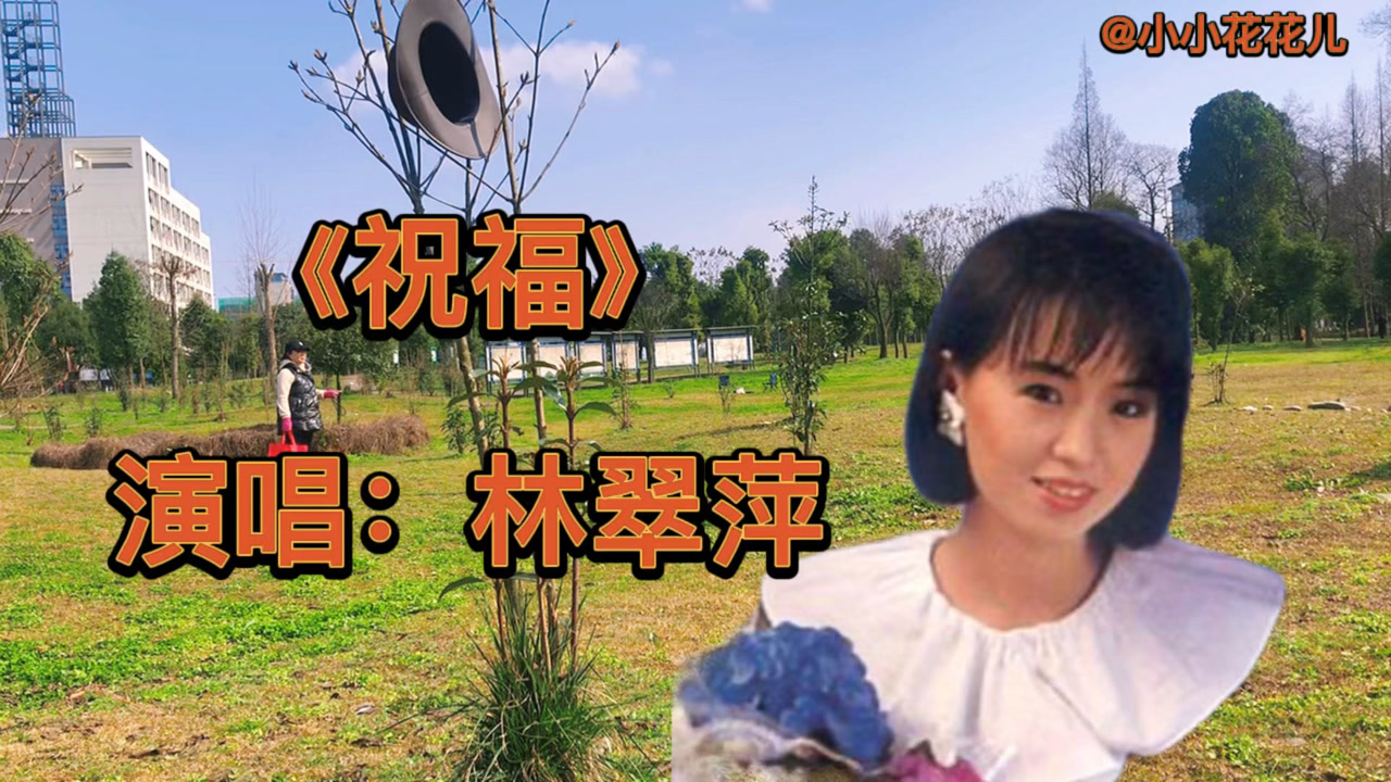 林翠萍演唱《祝福》歌声甜美动人,太好听了