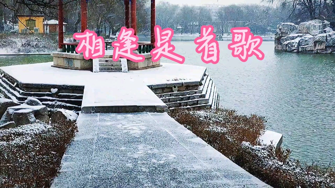 相逢是首歌,怀旧金曲.红十字方队主题曲