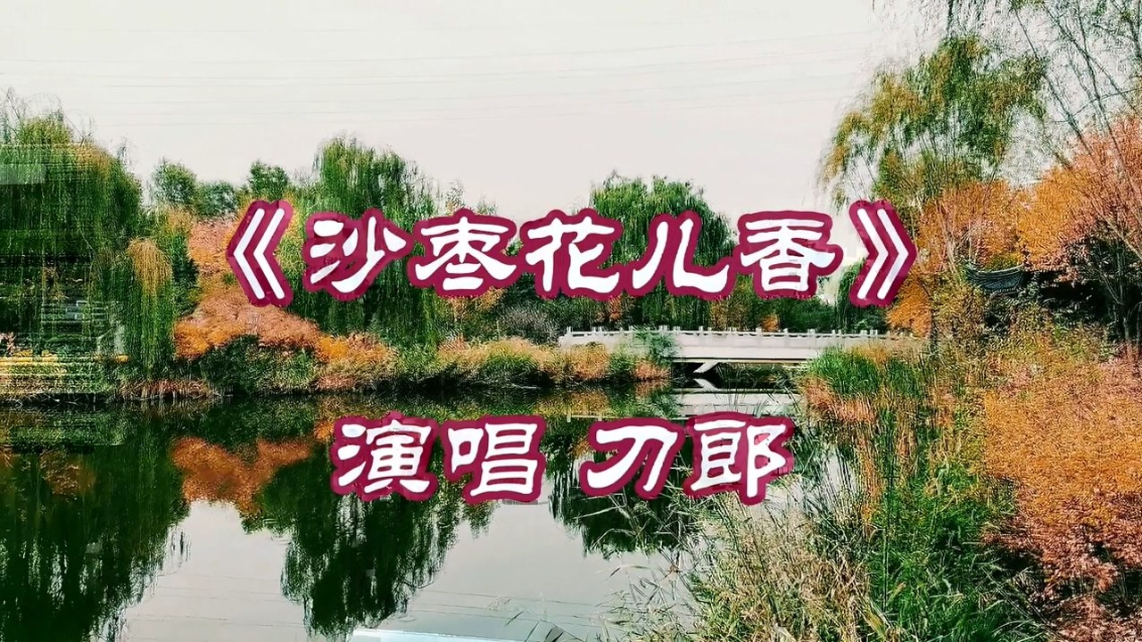刀郎《沙枣花儿香》