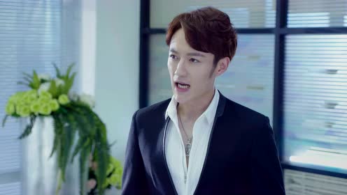 狐狸的夏天第一季