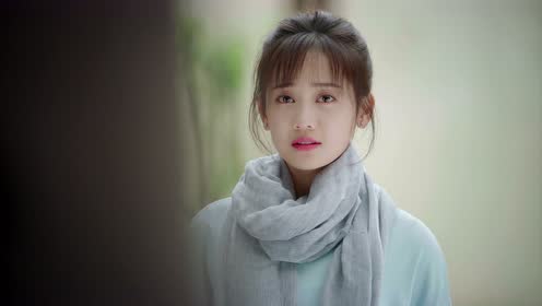 花开人归终不负,白起终于等到林夏归来!