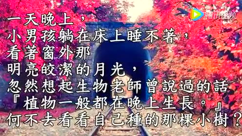 愛是生命中最好的 腾讯视频