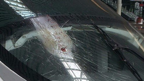 实拍飞鸟撞上时速300公里的高铁瞬间