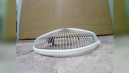 农村小伙用电扇做的捕鸟神器,小时候玩过的举手!